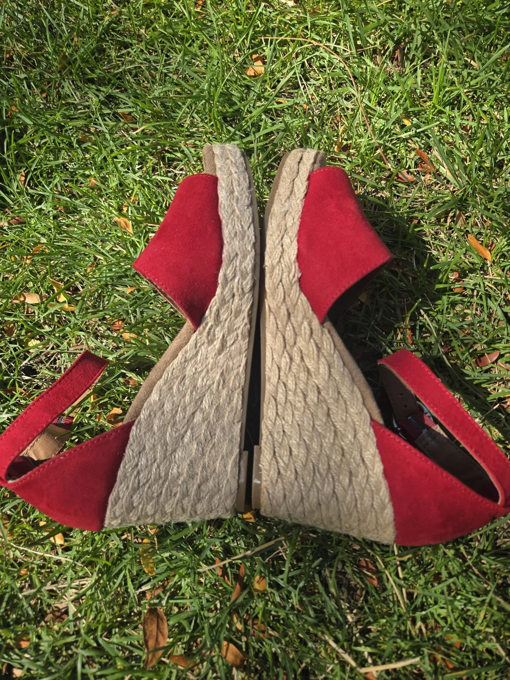 Style & Co. stylish red